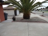 dsc00162_m_0