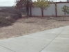 dsc00167_l